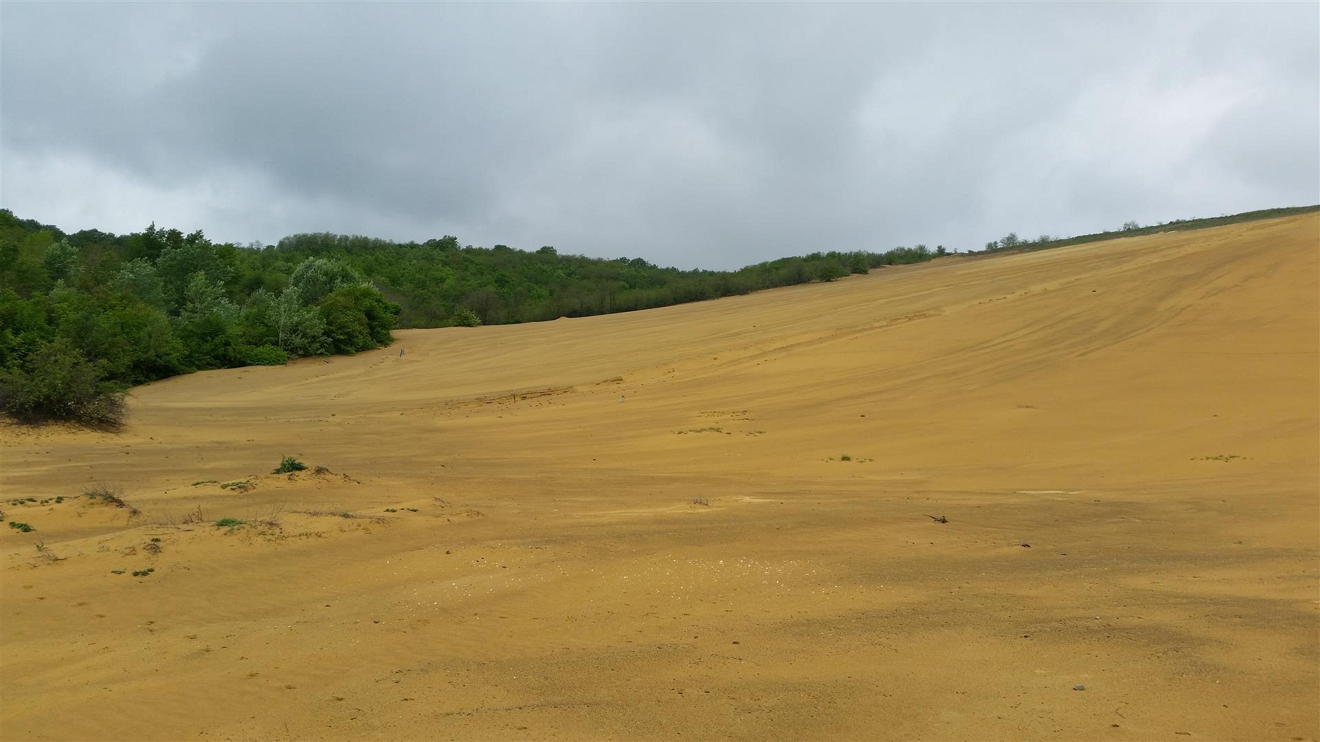National thematic workshop in Serbia